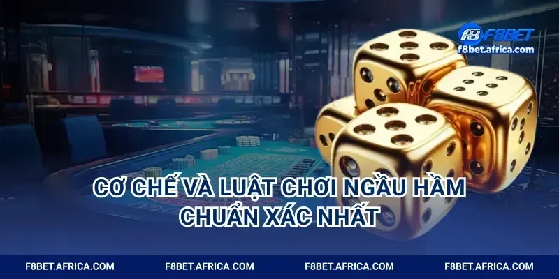 Cơ chế và luật chơi ngầu hầm chuẩn xác nhất