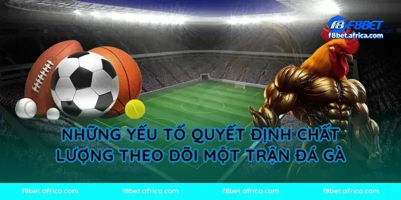 Những yếu tố quyết định chất lượng theo dõi một trận đá gà