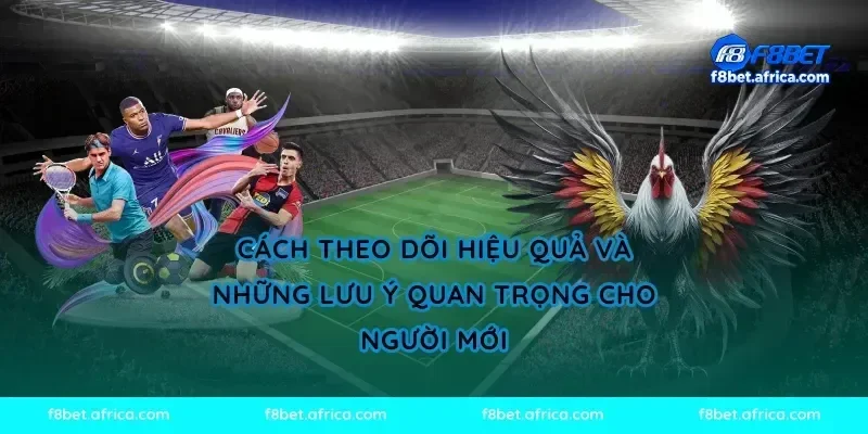 Cách theo dõi hiệu quả và những lưu ý quan trọng cho người mới